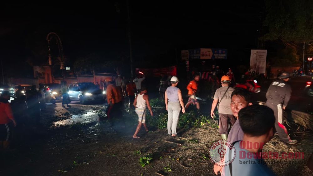 Pohon Beringin Tumbang Timpa Mobil di Simpang Empat Takmung, Lalu Lintas Sempat Tersendat