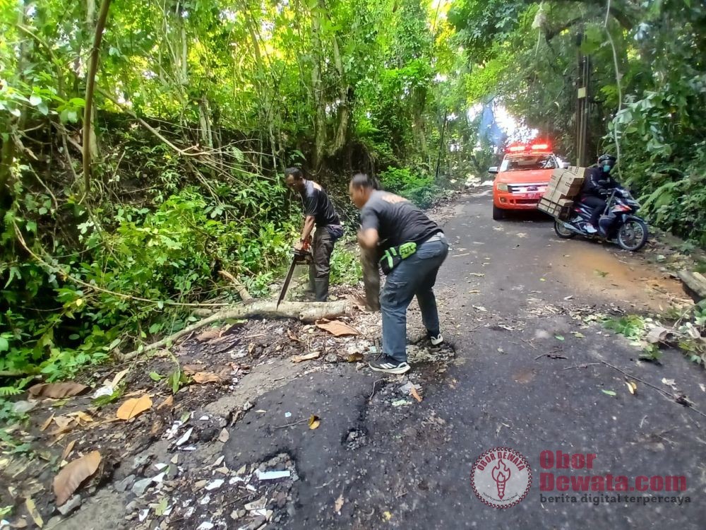 BMKG Peringatkan Cuaca Ekstrem, Bupati Tabanan Minta Warga Tingkatkan Kewaspadaan
