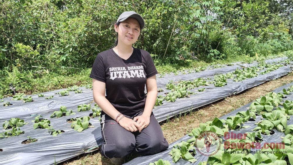 Dahsyatnya Aplikasi BRImo, Kartini Muda Tak Lagi Harus Ngantor Kembangkan Usaha Pertanian
