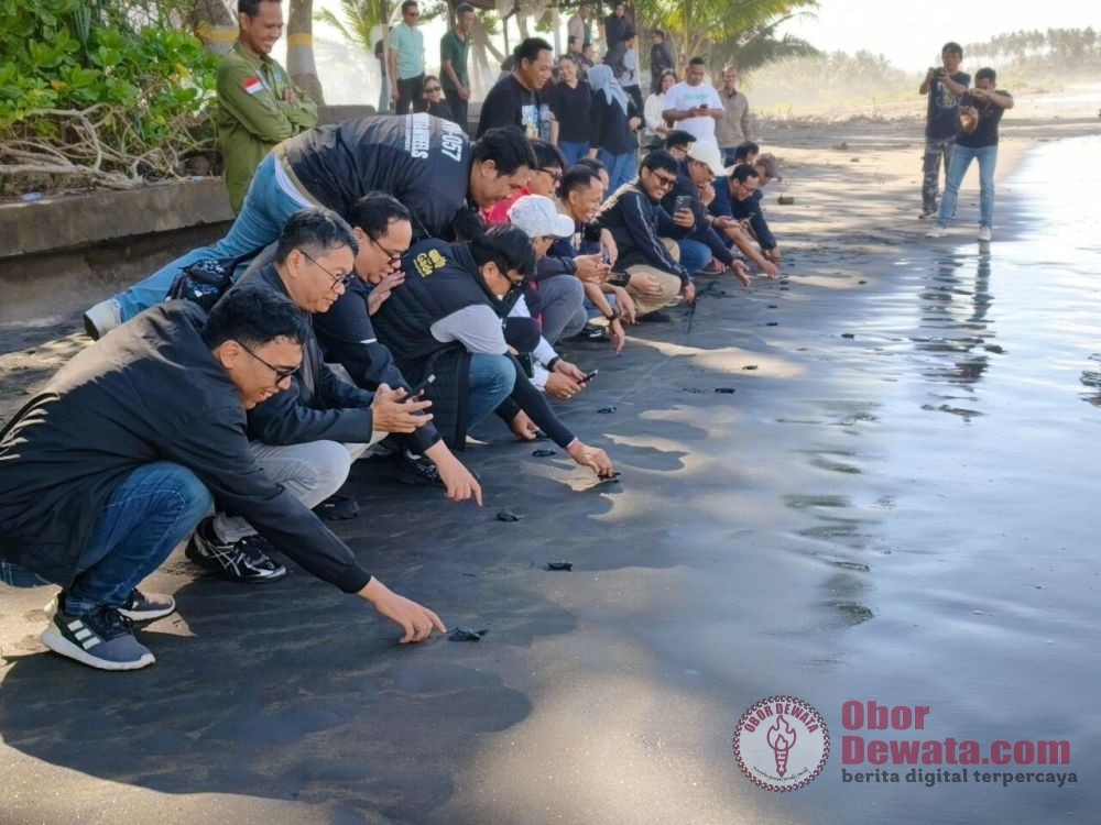 Pegadaian Kanwil VII Denpasar Dukung Pelestarian Penyu di Jembrana