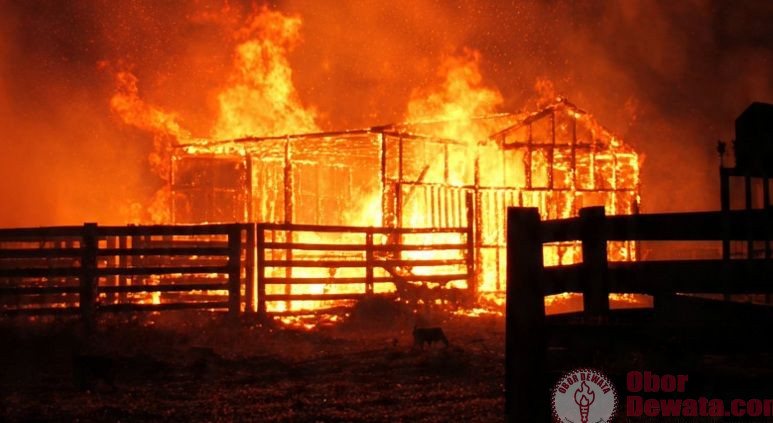 Bakar Kandang Sapi Camer, karena Hubungannya Tak Direstui