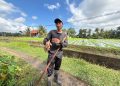 Petani Bunga Pacah Bertahan Hadapi Cuaca dan Fluktuasi Harga, KUR BRI Perkuat Modal Usaha