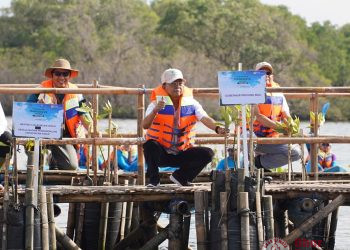 Gubernur Koster Dorong Gerakan Tanam Mangrove Setiap Bulan, Perkuat Ekosistem Pesisir Bali
