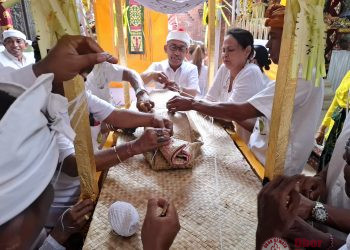 Sembah Bakti kepada Leluhur, Wakil Ketua DPRD Bali I Wayan Disel Astawa Gelar Rangkaian Karya Pitra Yadnya Utama
