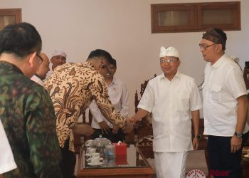 Gubernur Koster Bertemu DJSN, Bali Siap Jadi Pilot Project Reformasi Sistem Rujukan Kesehatan Nasional