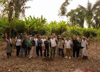Reforestasi Batukaru Dimulai, 100 Pohon Ditanam dan Dipelihara Selama Setahun
