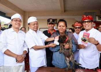 Gubernur Koster Pimpin Aksi Pelestarian Satwa dalam Perayaan Tumpek Uye se-Bali