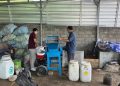 Dari Sampah Menjadi Nilai Tambah, Pelindo Lanjutkan Program Wise di Ring 1 Pelabuhan Benoa