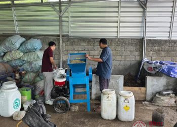 Dari Sampah Menjadi Nilai Tambah, Pelindo Lanjutkan Program Wise di Ring 1 Pelabuhan Benoa